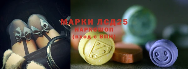 прущие крисы Абаза