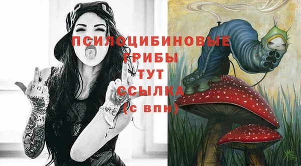 стафф Абдулино