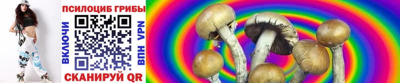 Псилоцибиновые грибы мицелий Великий Новгород