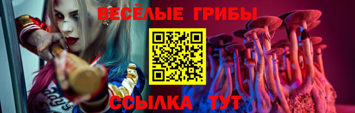 Псилоцибиновые грибы Magic Shrooms Великий Новгород