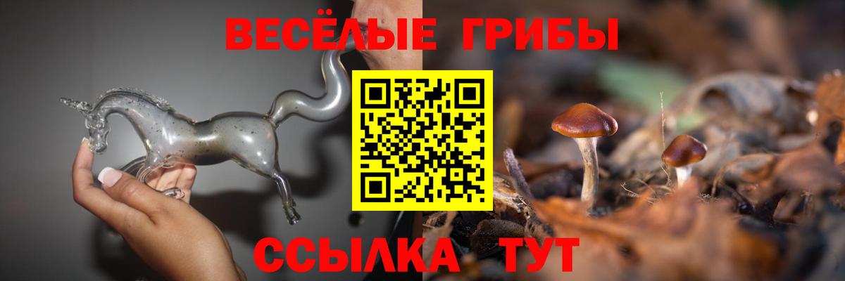 Галлюциногенные грибы Psilocybine cubensis  Вход с VPN  где продают наркотики  Великий Новгород 